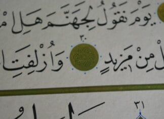 Toroslar’ın En Doğu Ucu Amanos Dağları