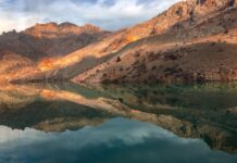 Âşiyan Müzesi Üst Kat Vitrinleri ve Sergiler